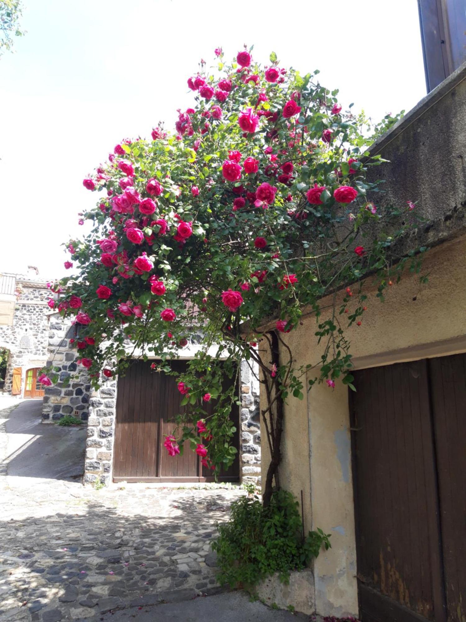 Villa Le Cocon Lussas Exterior foto